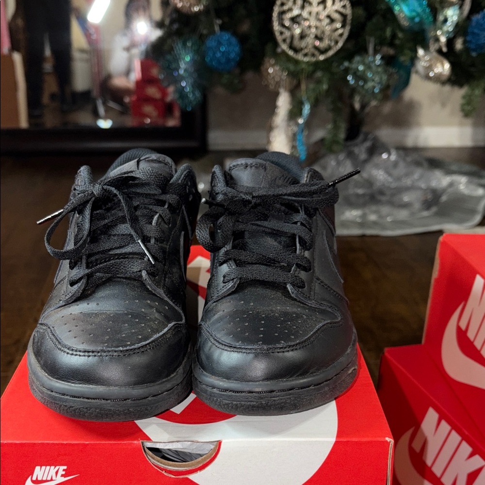 Nike Dunk Low